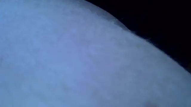 Snapshot of Mariomario0565 chatting on 01.31.25 Mariomario0565 online show from 01.31.25