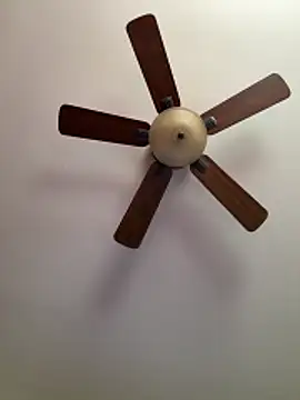 QueenNuttCollector online show from 03.27.26