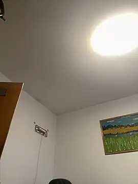 Snapshot of Toyjungee chatting on 02.13.26 Toyjungee online show from 02.13.26