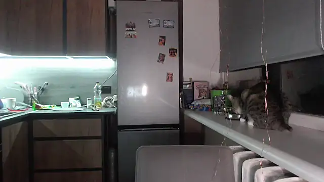 Snapshot of delightful_sofi chatting on 09.28.25 delightful sofi online show from 09.28.25