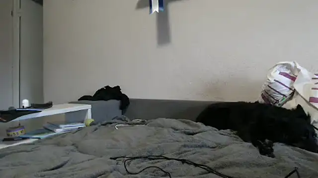 Snapshot of delightful_sofi chatting on 10.09.25 delightful sofi online show from 10.09.25