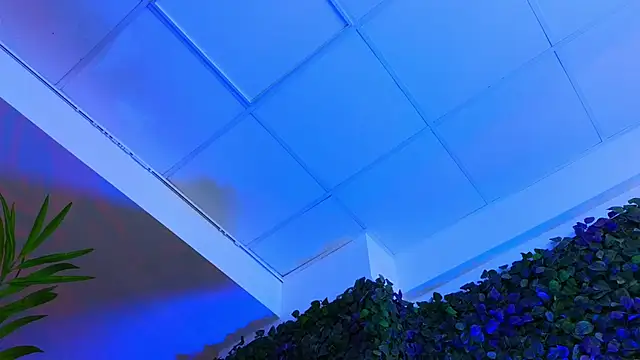 Snapshot of HotSkinnyX chatting on 02.13.25 HotSkinnyX online show from 02.13.25