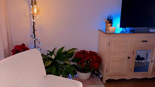 Snapshot of anabelcurvy chatting on 12.08.24 anabelcurvy online show from 12.08.24