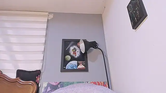 damn fox online show from 12.12.24