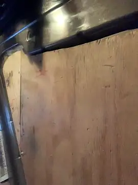 Snapshot of Likewise chatting on 02.06.26 Likewise online show from 02.06.26