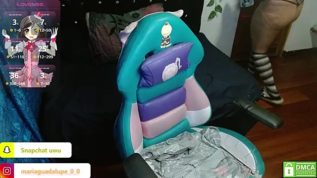 litlle cat online show from 12.04.25