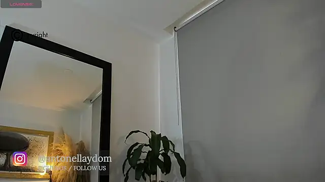 antonella dom1 online show from 10.21.25