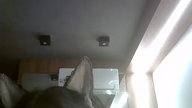 Skinny-Kitten online show from 02.15.26