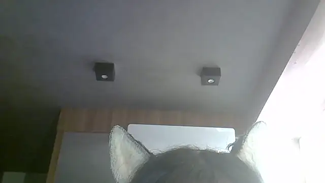 Snapshot of Skinny-Kitten chatting on 04.16.26 Skinny-Kitten online show from 04.16.26