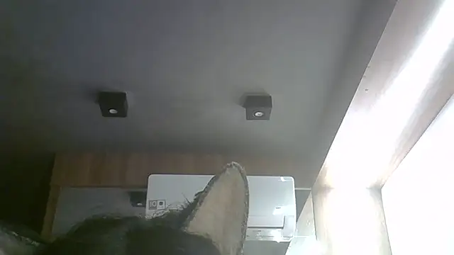 Snapshot of Skinny-Kitten chatting on 05.17.26 Skinny-Kitten online show from 05.17.26