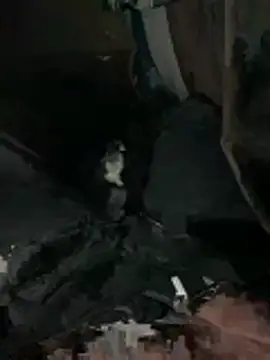 Snapshot of prekumstud chatting on 02.20.26 prekumstud online show from 02.20.26