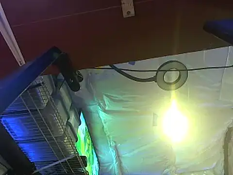 CloudDadddyyy420 online show from 10.15.25