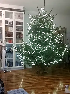 Snapshot of SexyDreamercouple89 chatting on 12.07.24 SexyDreamercouple89 online show from 12.07.24