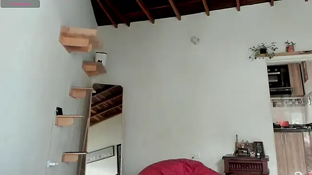 Rainbow leia online show from 02.21.26