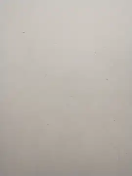 Shuttii 25 online show from 12.02.24