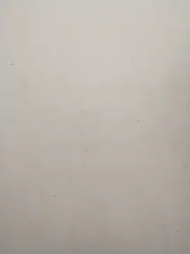 Shuttii 25 online show from 12.21.24