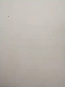 Shuttii 25 online show from 01.31.25