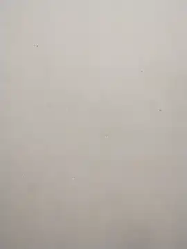 Shuttii 25 online show from 02.10.25