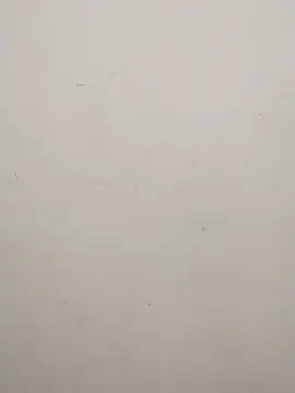 Shuttii 25 online show from 02.17.25