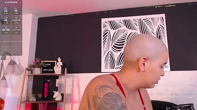 WildyTemping online show from 03.01.25