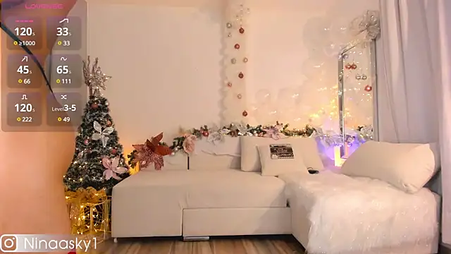 Snapshot of ninaa_sky chatting on 12.30.24 ninaa sky online show from 12.30.24