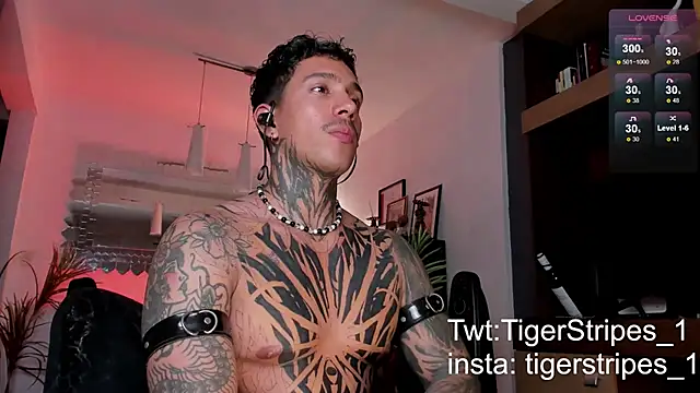 Snapshot of TigerStripes1_ chatting on 02.22.25 TigerStripes1 online show from 02.22.25