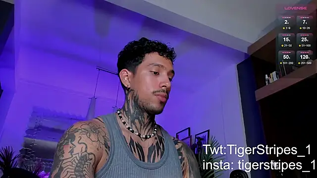Snapshot of TigerStripes1_ chatting on 03.02.25 TigerStripes1 online show from 03.02.25