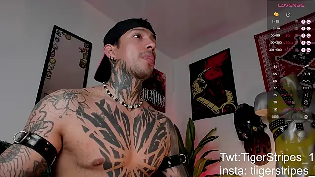 TigerStripes1  online show from 03.24.26