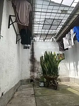 oliver price1 online show from 09.15.25