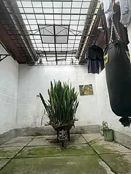 Snapshot of oliver_price1 chatting on 02.17.26 oliver price1 online show from 02.17.26