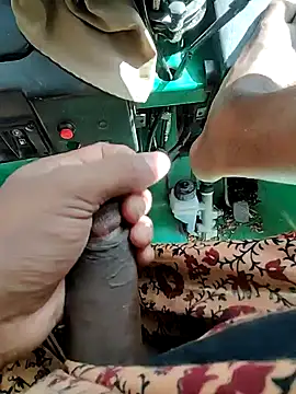 Kolkata   Boy online show from 12.29.24