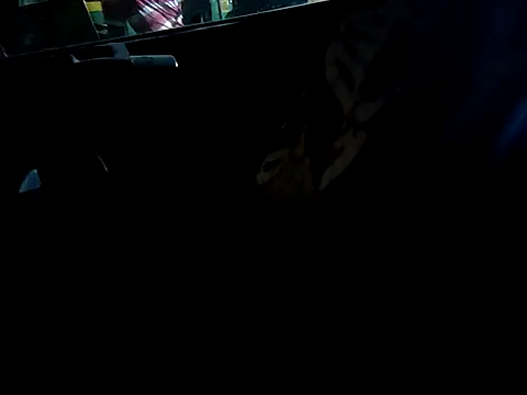 Kolkata   Boy online show from 09.16.25